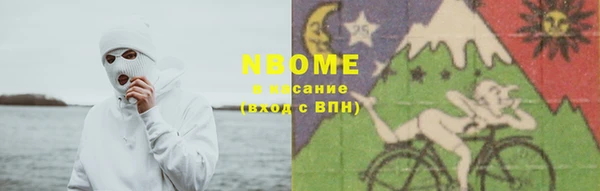 гидра Алексин