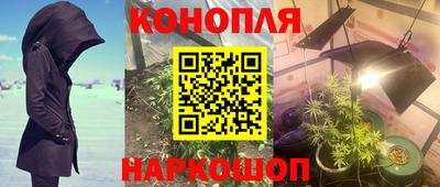 PSILOCYBIN Бузулук