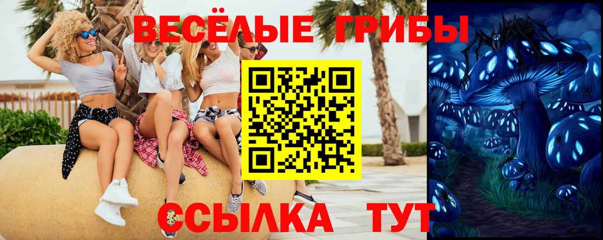 Кингисепп  Галлюциногенные грибы мицелий  Вход с VPN 