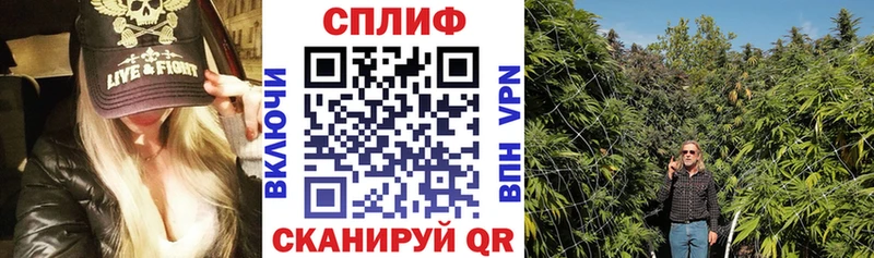 купить наркоту  Кингисепп  Канабис White Widow 